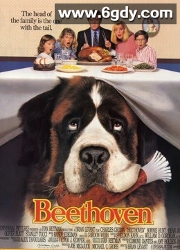 无敌当家(1992)HD高清迅雷网盘磁力下载