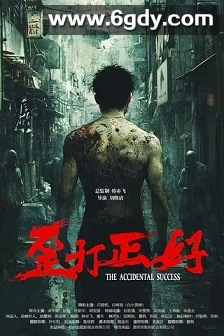 歪打正好(2025)HD高清迅雷网盘磁力下载