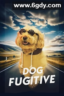 Dog Fugitive(2023)HD高清迅雷网盘磁力下载