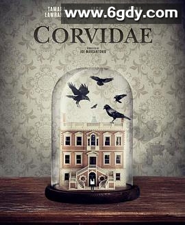 亲属关系(2020)HD高清迅雷网盘磁力下载