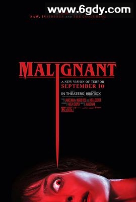 致命感应(2021)HD高清迅雷网盘磁力下载