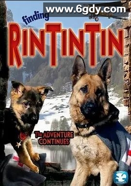 发现任丁丁(2007)超清高清迅雷网盘磁力下载