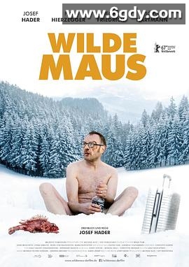 狂鼠(2017)HD高清迅雷网盘磁力下载