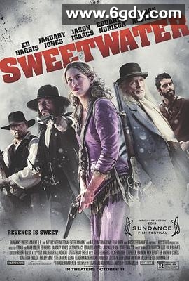 甜蜜的复仇(2013)HD高清迅雷网盘磁力下载