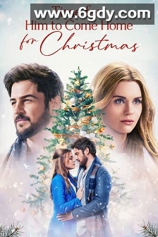 是时候让他回家过圣诞节了(2022)HD高清迅雷网盘磁力下载
