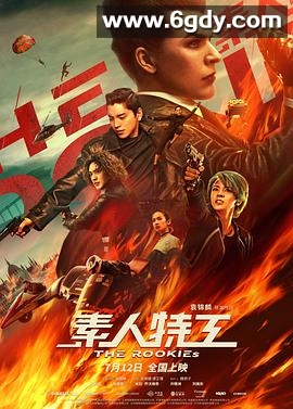 素人特工(2019)HD高清迅雷网盘磁力下载