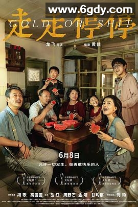 走走停停(2024)HD高清迅雷网盘磁力下载