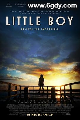 小男孩(2015)HD高清迅雷网盘磁力下载