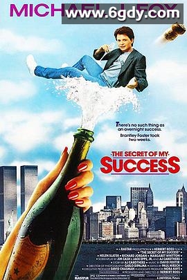成功的秘密(1987)HD高清迅雷网盘磁力下载
