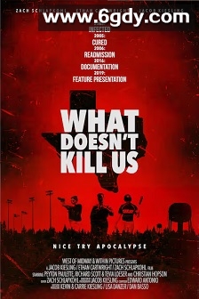 杀不死我们的(2019)HD高清迅雷网盘磁力下载