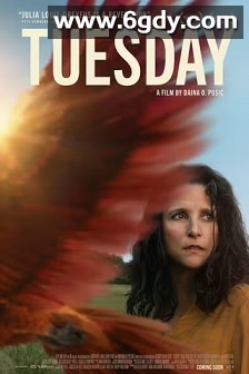 星期二(2023)HD高清迅雷网盘磁力下载