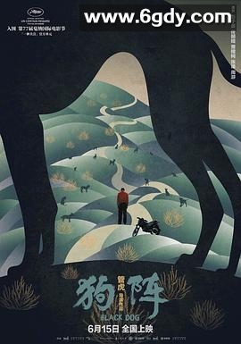 狗阵(2024)HD高清迅雷网盘磁力下载