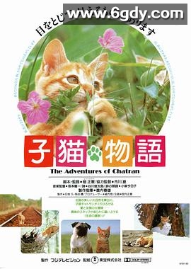 小猫的故事(1986)HD高清迅雷网盘磁力下载