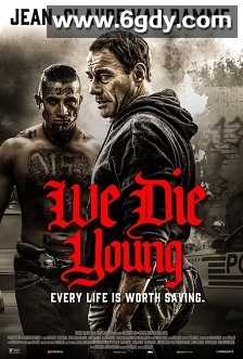 铁拳威龙(2019)HD高清迅雷网盘磁力下载