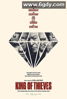 贼王(2018)HD高清迅雷网盘磁力下载