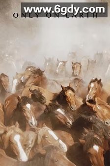 夏日烈焰(2025)HD高清迅雷网盘磁力下载