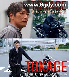TOKAGE 警视厅特殊犯搜查组(2025)更新至第1集高清迅雷网盘磁力下载