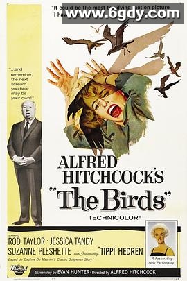 群鸟(1963)HD高清迅雷网盘磁力下载