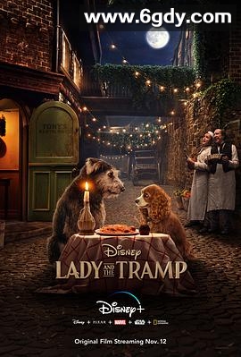 小姐与流浪汉(2019)HD高清迅雷网盘磁力下载