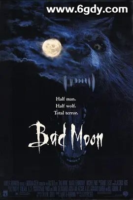 鬼哭神嚎(1996)超清高清迅雷网盘磁力下载