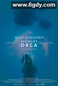 常驻虎鲸(2024)HD高清迅雷网盘磁力下载