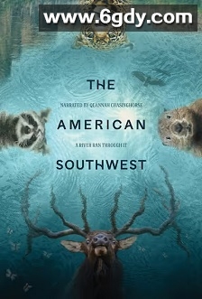 美国西南部(2025)HD高清迅雷网盘磁力下载