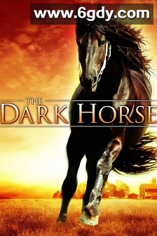 黑马(2008)HD高清迅雷网盘磁力下载