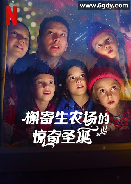 槲寄生农场的惊奇圣诞(2022)HD高清迅雷网盘磁力下载