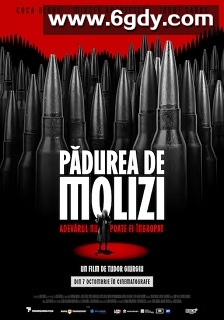 Pădurea de molizi(2025)HD高清迅雷网盘磁力下载