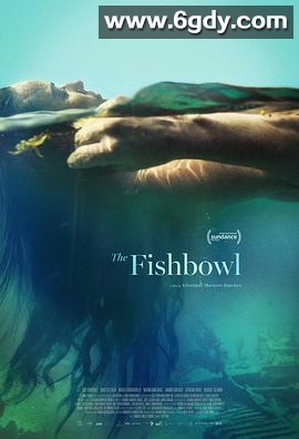 鱼缸(2023)HD高清迅雷网盘磁力下载