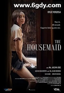 女佣(2021)HD高清迅雷网盘磁力下载