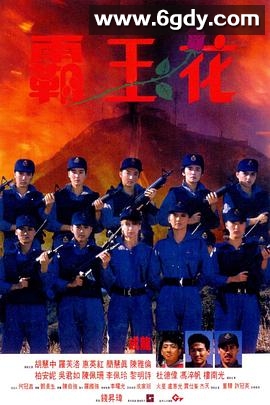 霸王花(1988)HD高清迅雷网盘磁力下载