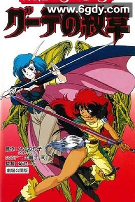 女战士艾菲拉和吉利欧拉：古德的纹章(1990)HD高清迅雷网盘磁力下载