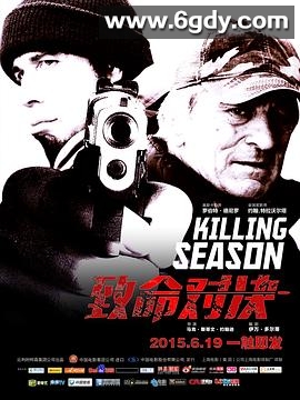 致命对决(2013)HD高清迅雷网盘磁力下载