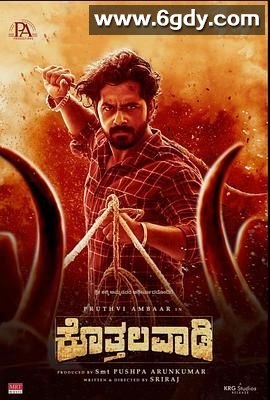 沙村传奇(2025)HD高清迅雷网盘磁力下载