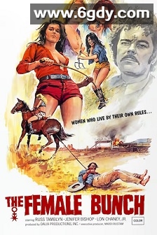 女群(1971)HD高清迅雷网盘磁力下载