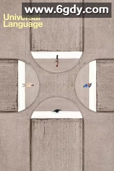 共同的语言(2024)HD高清迅雷网盘磁力下载