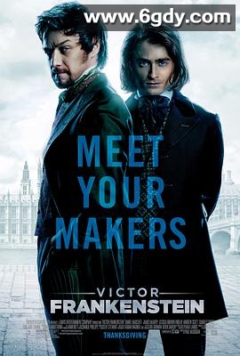 维克多·弗兰肯斯坦(2015)HD高清迅雷网盘磁力下载