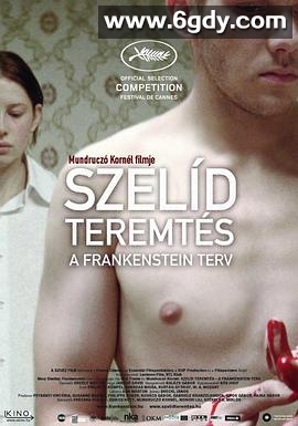 弗兰肯斯坦计划(2010)HD高清迅雷网盘磁力下载