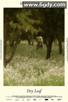 落叶球(2025)HD高清迅雷网盘磁力下载