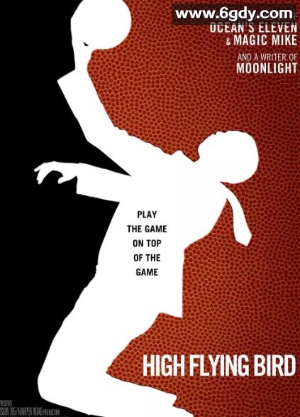 高飞鸟(2019)HD高清迅雷网盘磁力下载