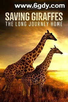 营救长颈鹿之漫漫归途(2022)HD高清迅雷网盘磁力下载