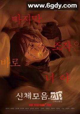 身体集合.zip(2022)HD高清迅雷网盘磁力下载