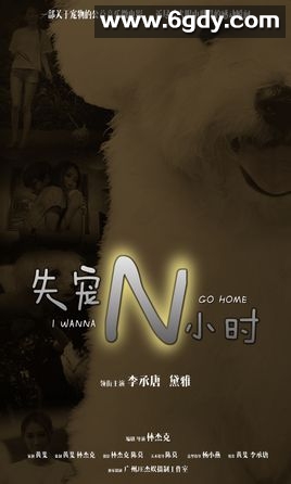 失宠(2020)HD高清迅雷网盘磁力下载