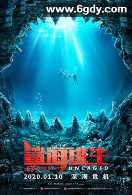 鲨海逃生(2019)HD高清迅雷网盘磁力下载