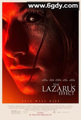 起死回生(2015)HD高清迅雷网盘磁力下载