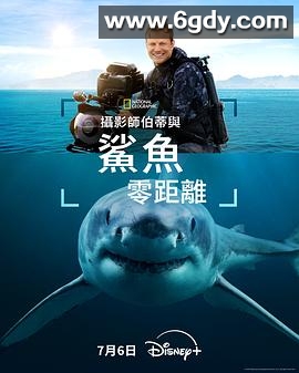 摄影师贝尔蒂与鲨鱼零距离(2025)HD高清迅雷网盘磁力下载