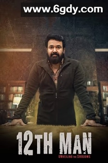 第十二个人(2022)HD高清迅雷网盘磁力下载