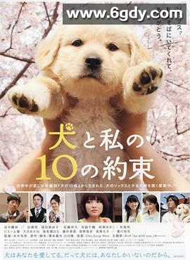 狗狗与我的十个约定(2008)HD高清迅雷网盘磁力下载