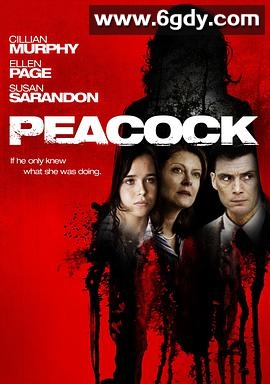 孔雀镇(2010)HD高清迅雷网盘磁力下载